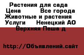 Растения для сада › Цена ­ 200 - Все города Животные и растения » Услуги   . Ненецкий АО,Верхняя Пеша д.